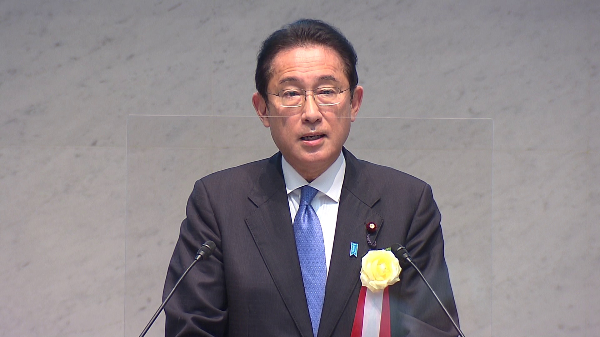 日本经济团体联合会审议员会