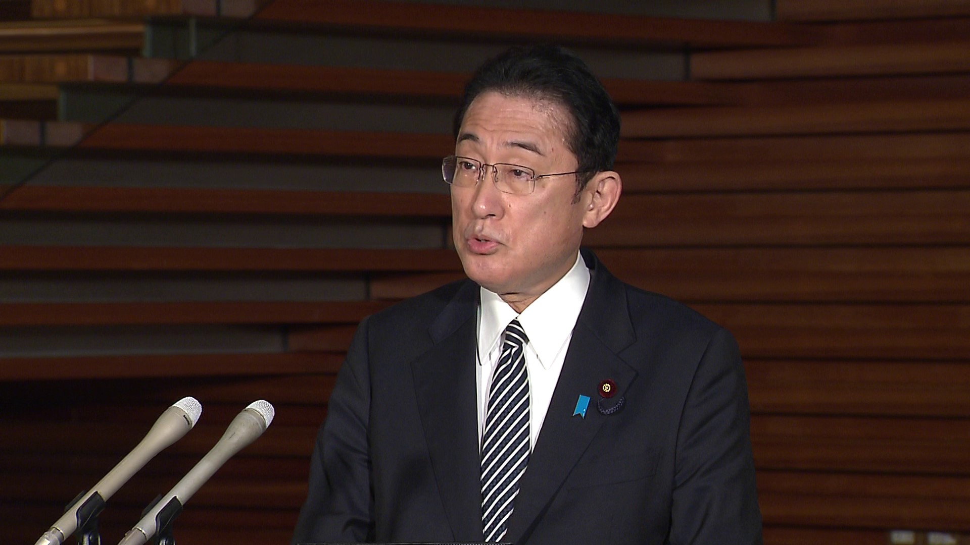 关于与德国总统施泰因迈尔以及波兰总理莫拉维茨基的电话会谈等的记者会（乌克兰局势）