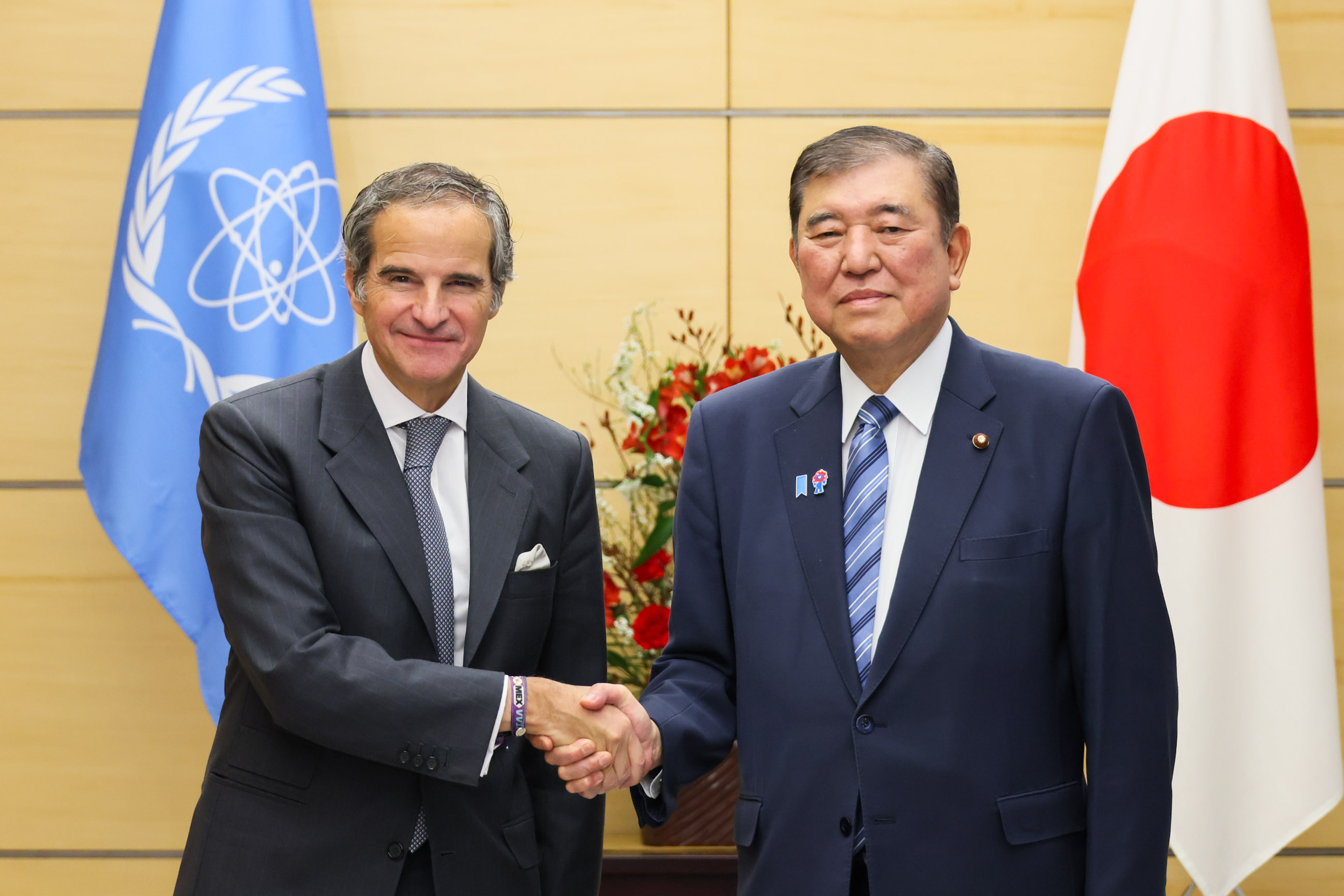 会见格罗西国际原子能机构(IAEA)总干事