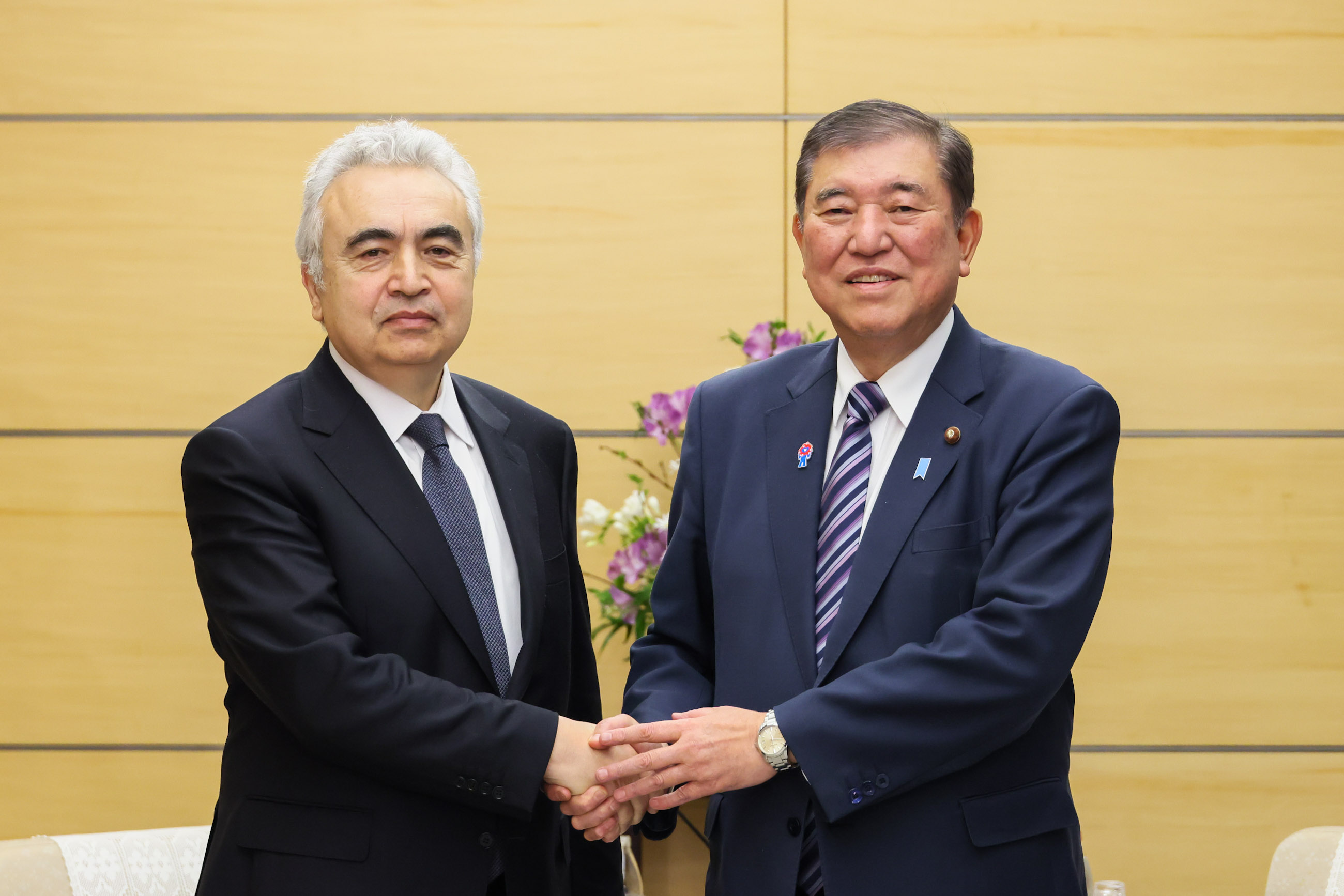 会见国际能源署(IEA)署长比罗尔