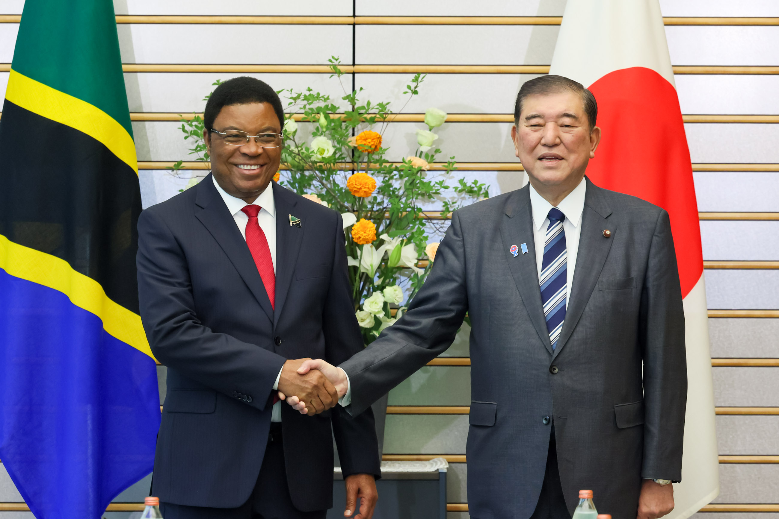 举行日本坦桑尼亚首脑会谈