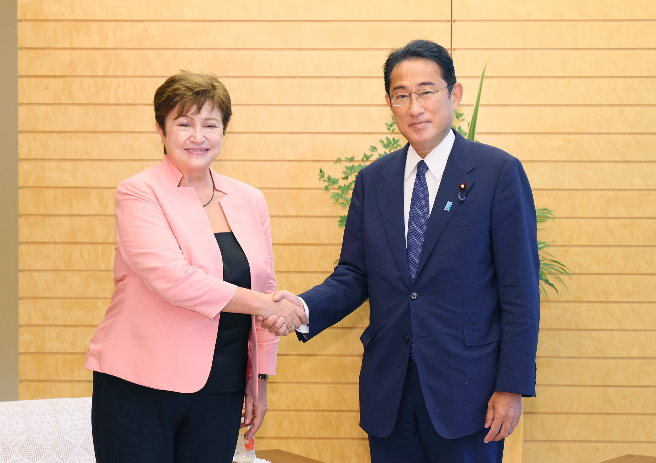 会见国际货币基金组织总裁格奥尔基耶娃