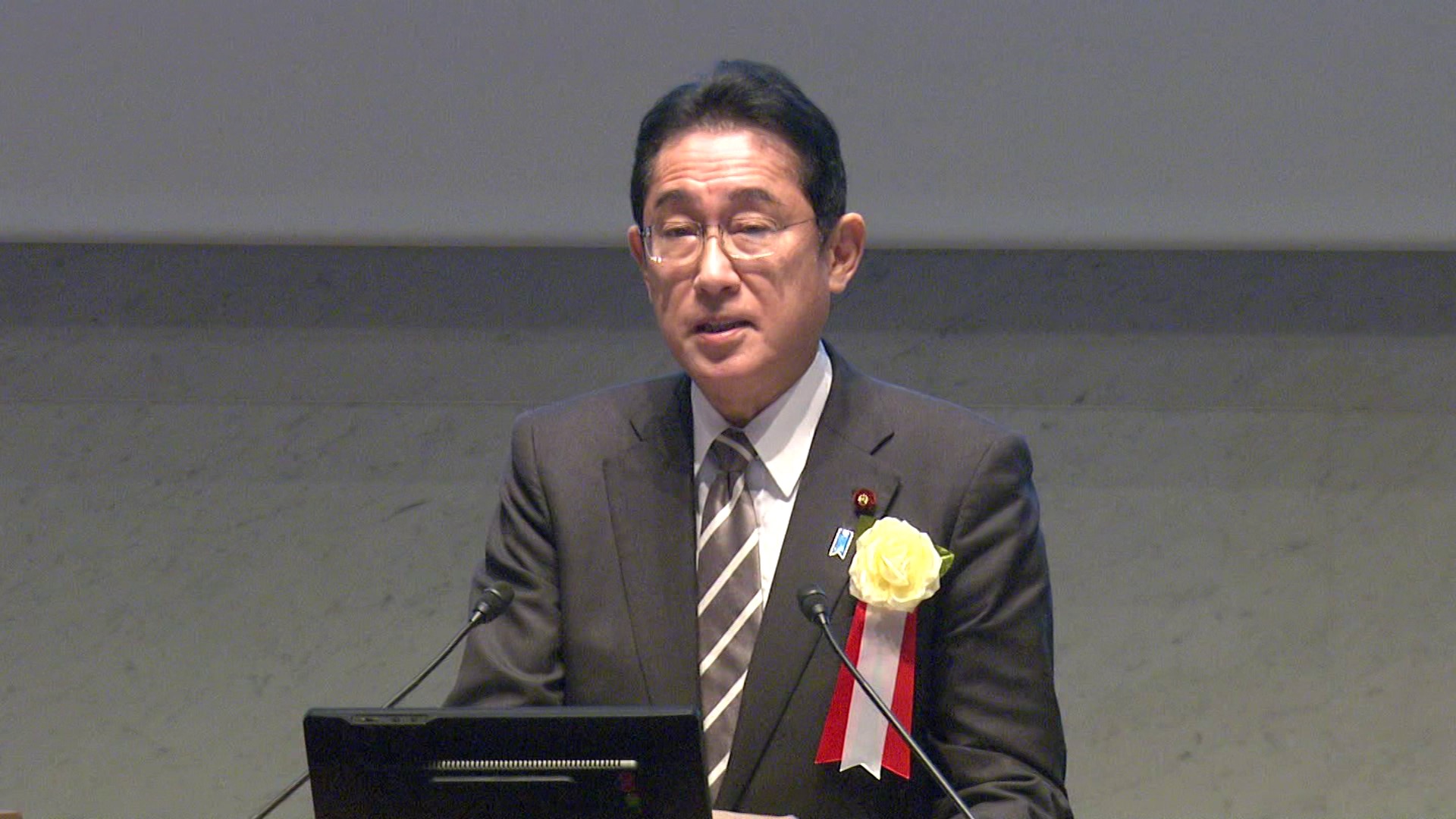 出席日本经济团体联合会审议员会