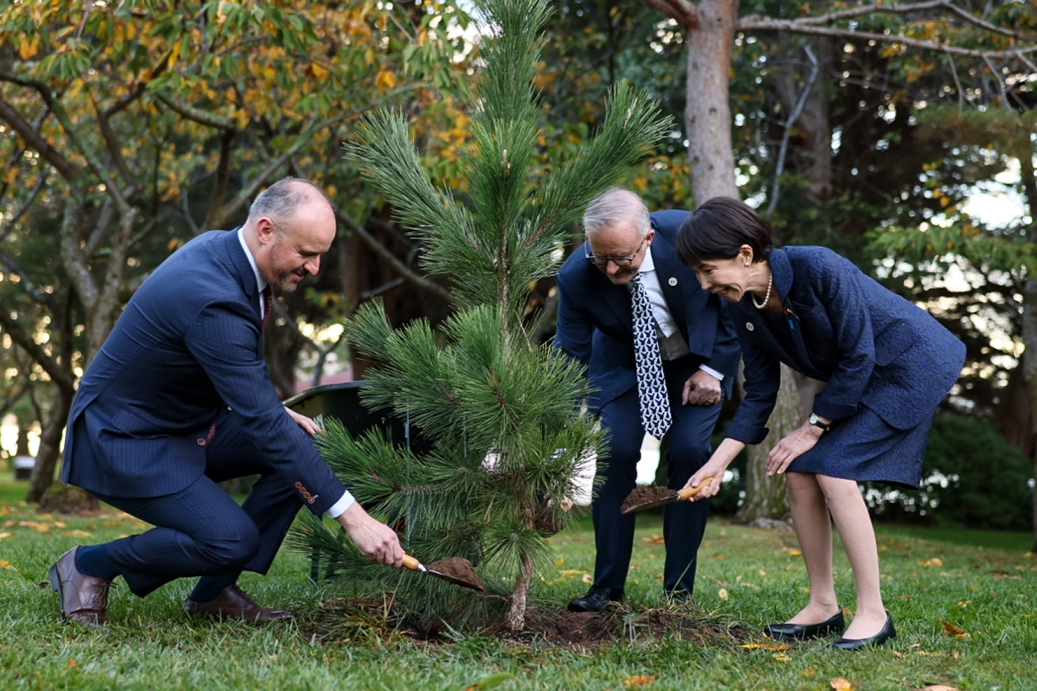 进行植树的高市首相2