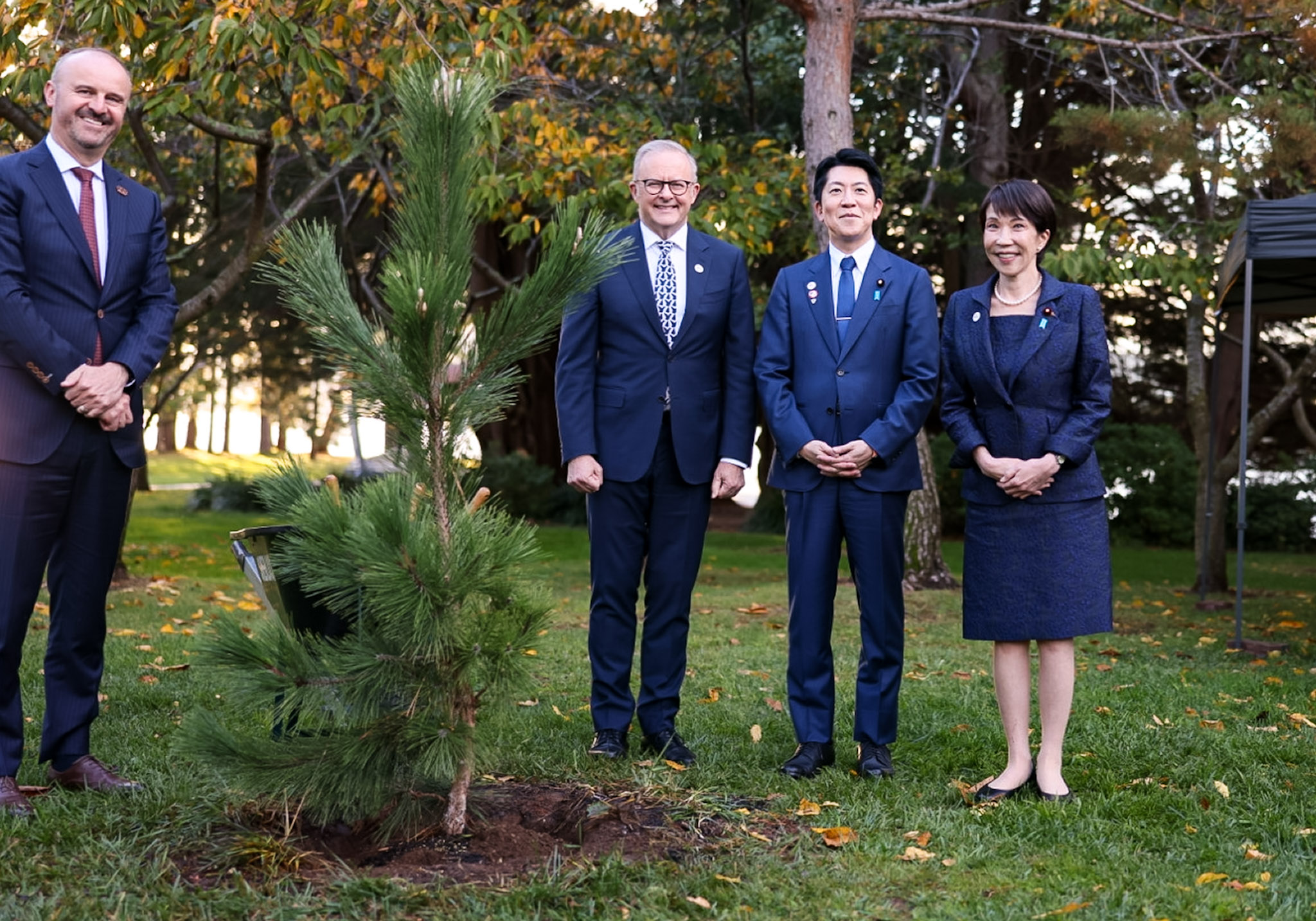 进行植树的高市首相3